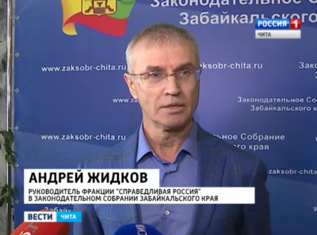 Руководитель фракции 