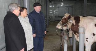 Забайкальский Центр племенного животноводства. Апрель 2022 года