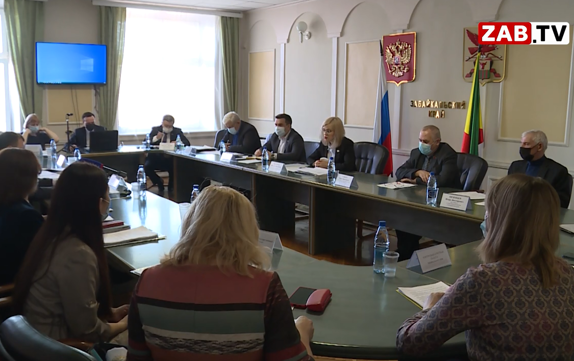 Стратегия развития Забайкалья до 2035 года. О первой экспертизе документа депутатами - сюжет ЗабТВ