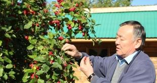 Новый радиопроект о депутатах без политики