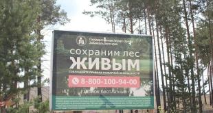 Акция по высадке леса. 19 мая 2017 года