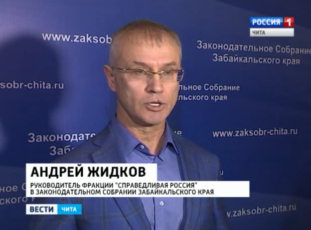 Лидер фракции 