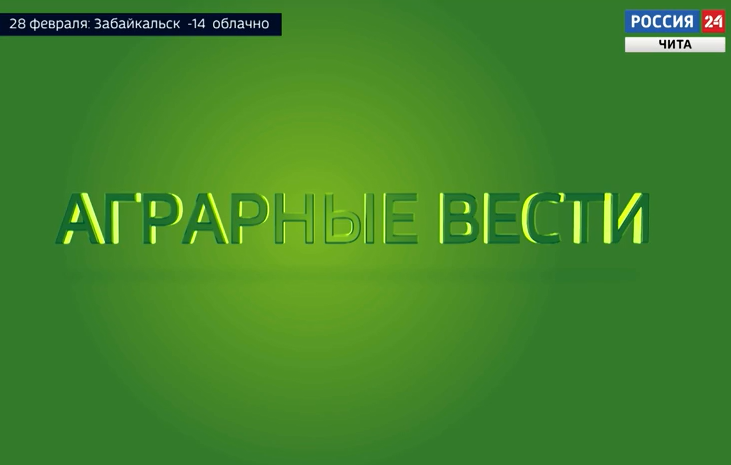 Президиум 