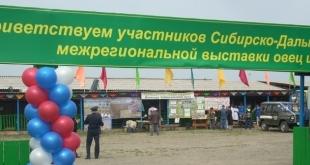 Выставка племенных овец и коз. 9 июня 2016 года